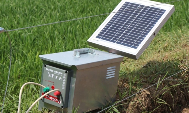 elektryzator z panelem słonecznym