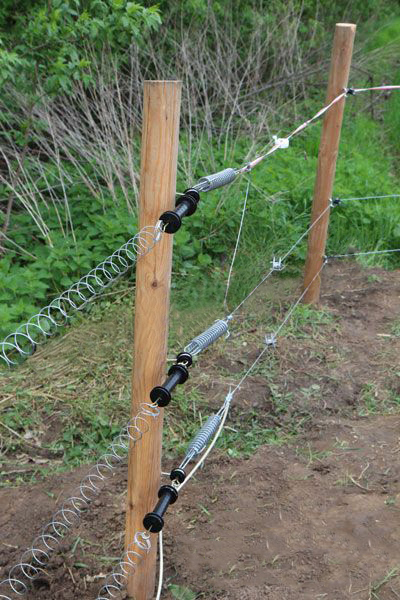 Palik drewniany fi 6 cm wysokość 200 cm przelotowy do pastucha