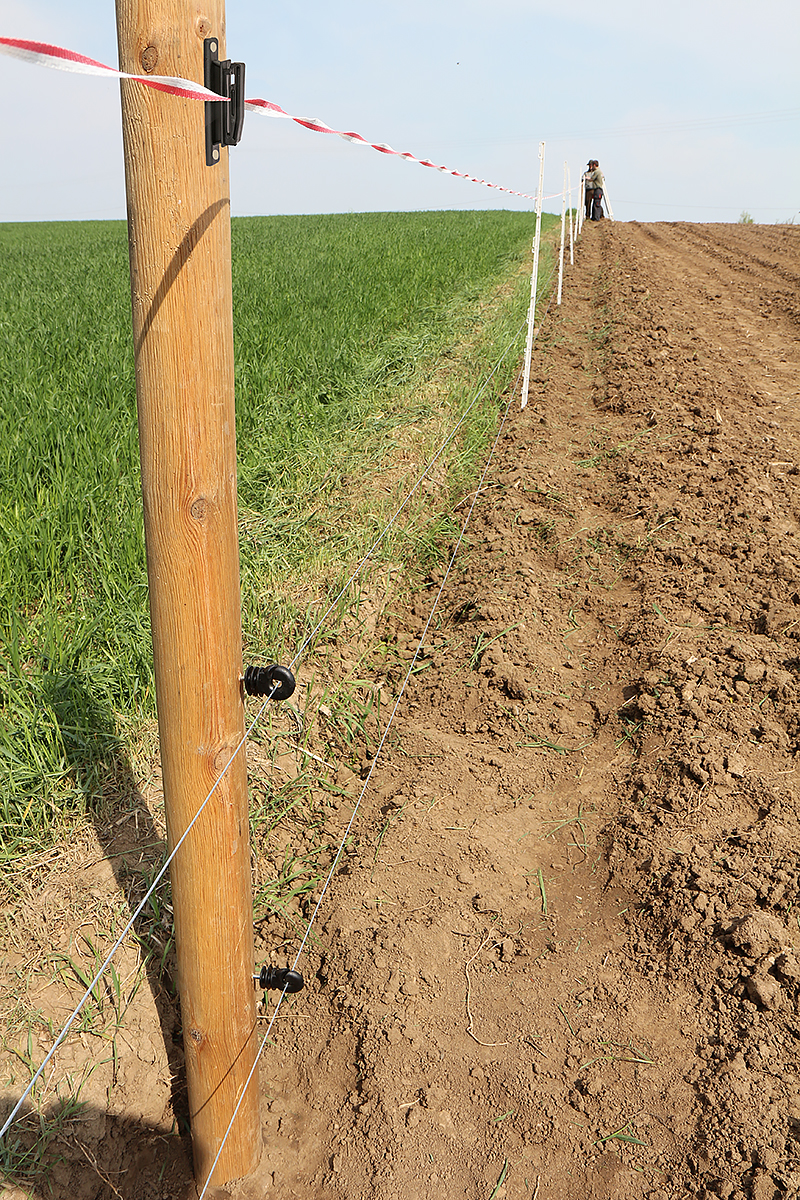 Izolator zatrzaskowy do taśm RUBAN-CLIP na gwoździe lub wkręty