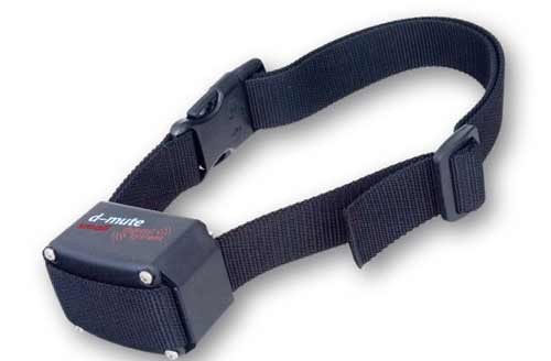 Obroża przeciw szczekaniu dla mniejszych psów