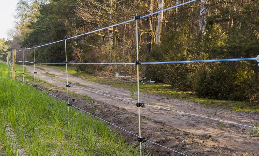 10 kroków do wyboru odpowiedniego ogrodzenia elektrycznego